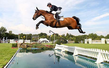 Nice Images Collection: Show Jumping Desktop Wallpapers