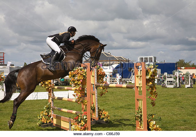 Nice Images Collection: Show Jumping Desktop Wallpapers