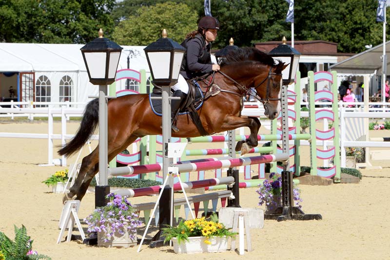 Images of Show Jumping | 800x534