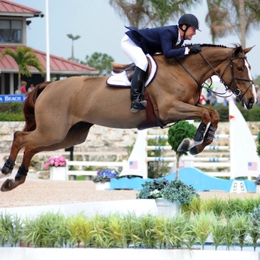 Show Jumping Backgrounds on Wallpapers Vista