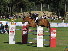 Show Jumping #14