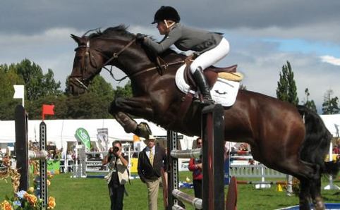 Show Jumping #18
