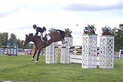 Show Jumping #11