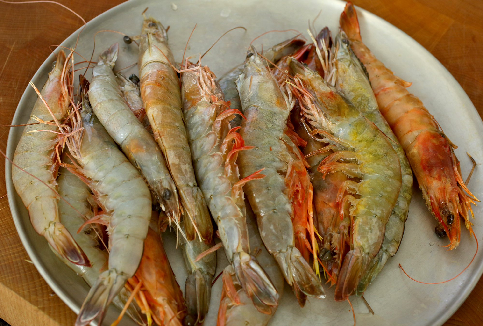 Amazing Shrimp Pictures & Backgrounds