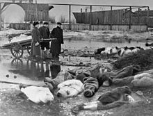Siege Of Leningrad #18