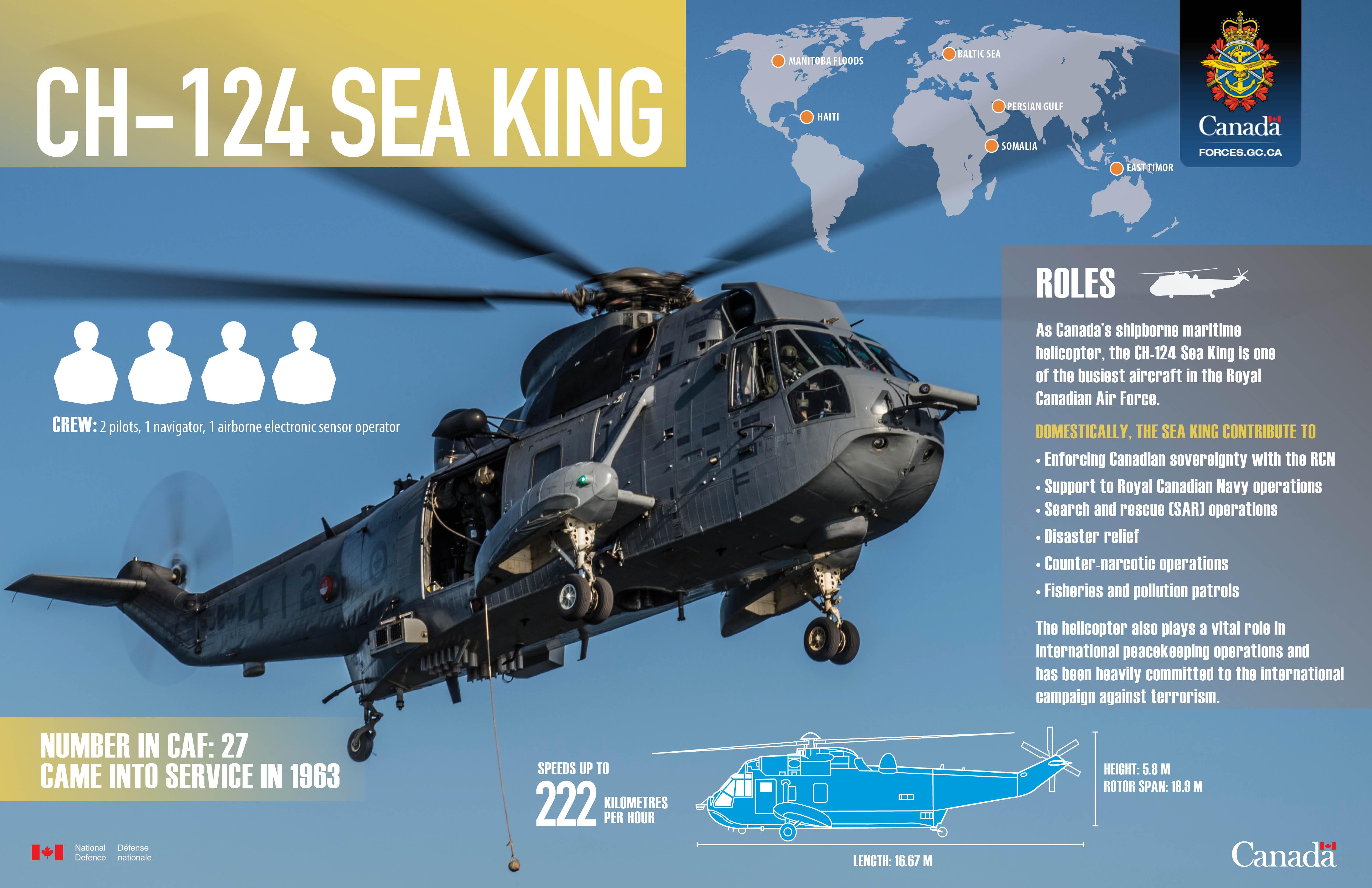 Sikorsky CH-124 Sea King #18