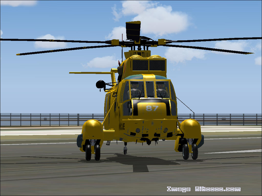 Sikorsky CH-124 Sea King #22