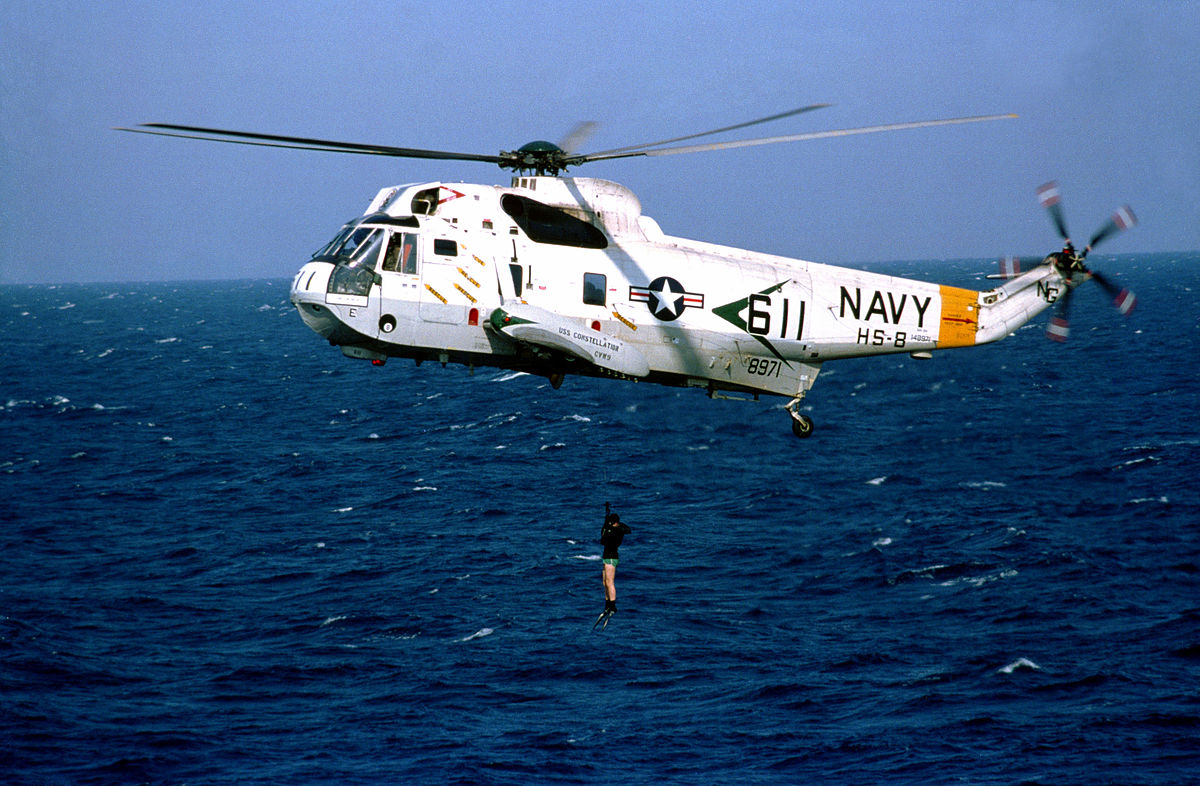 Sikorsky SH-3 Sea King #8