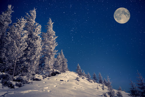 Images of Silent Night | 496x331