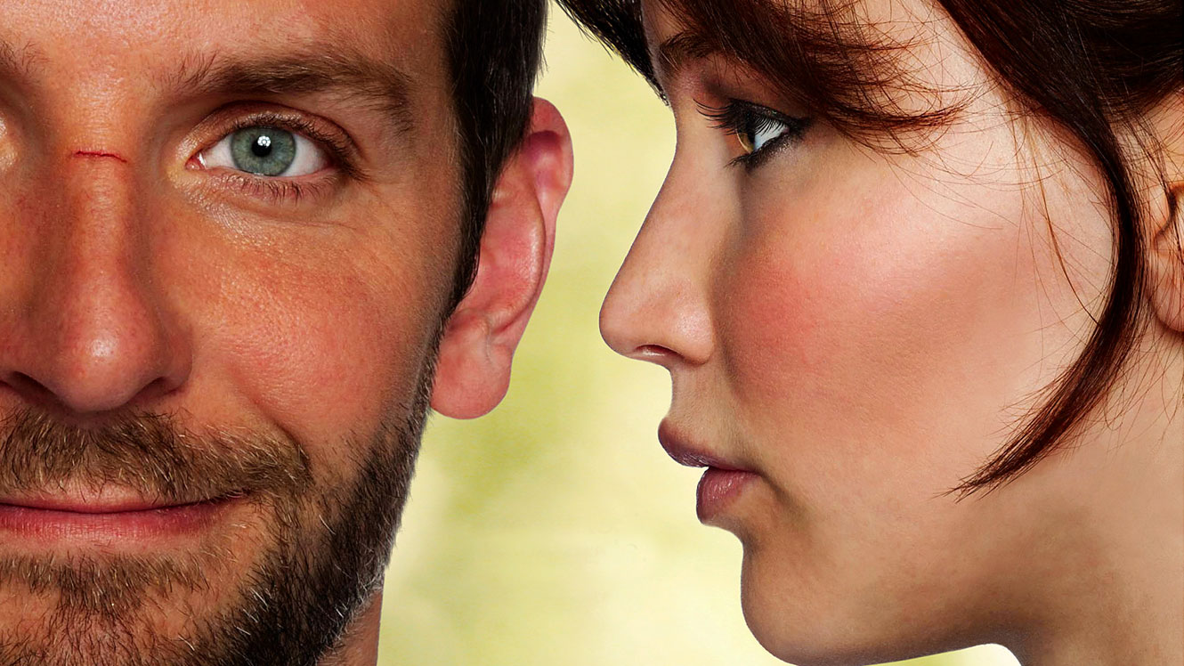 Silver Linings Playbook High Quality Background on Wallpapers Vista