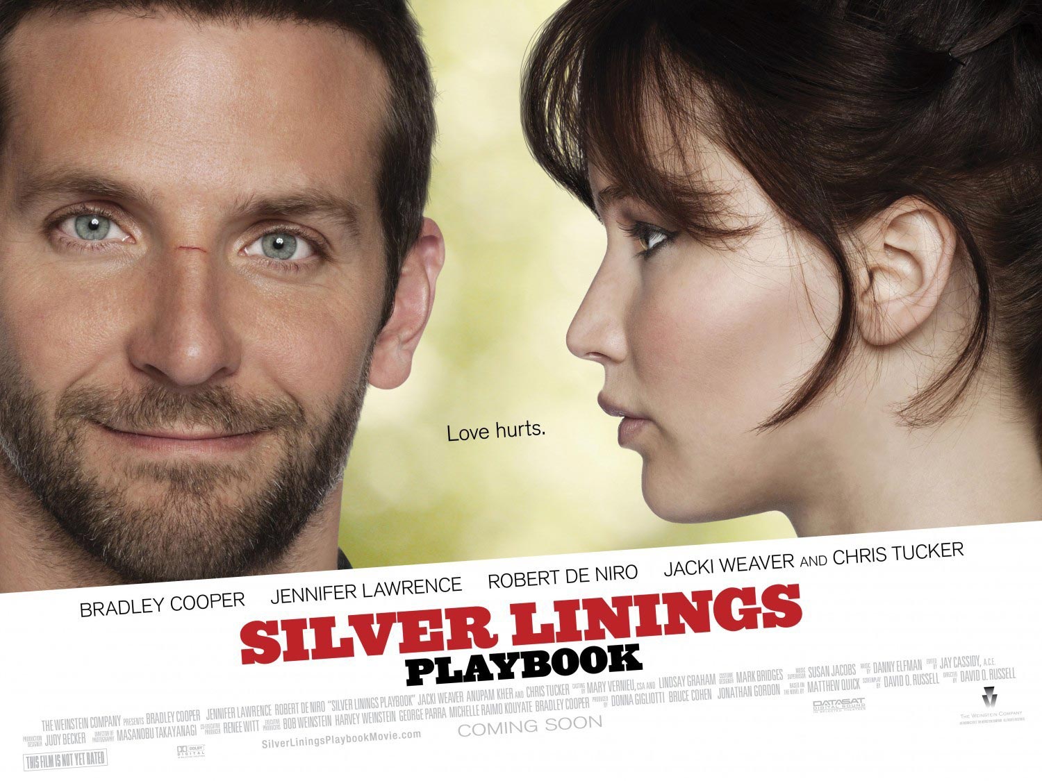 Silver Linings Playbook #10