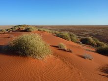 HD Quality Wallpaper | Collection: Earth, 220x165 Simpson Desert