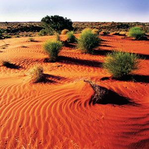 Simpson Desert Pics, Earth Collection