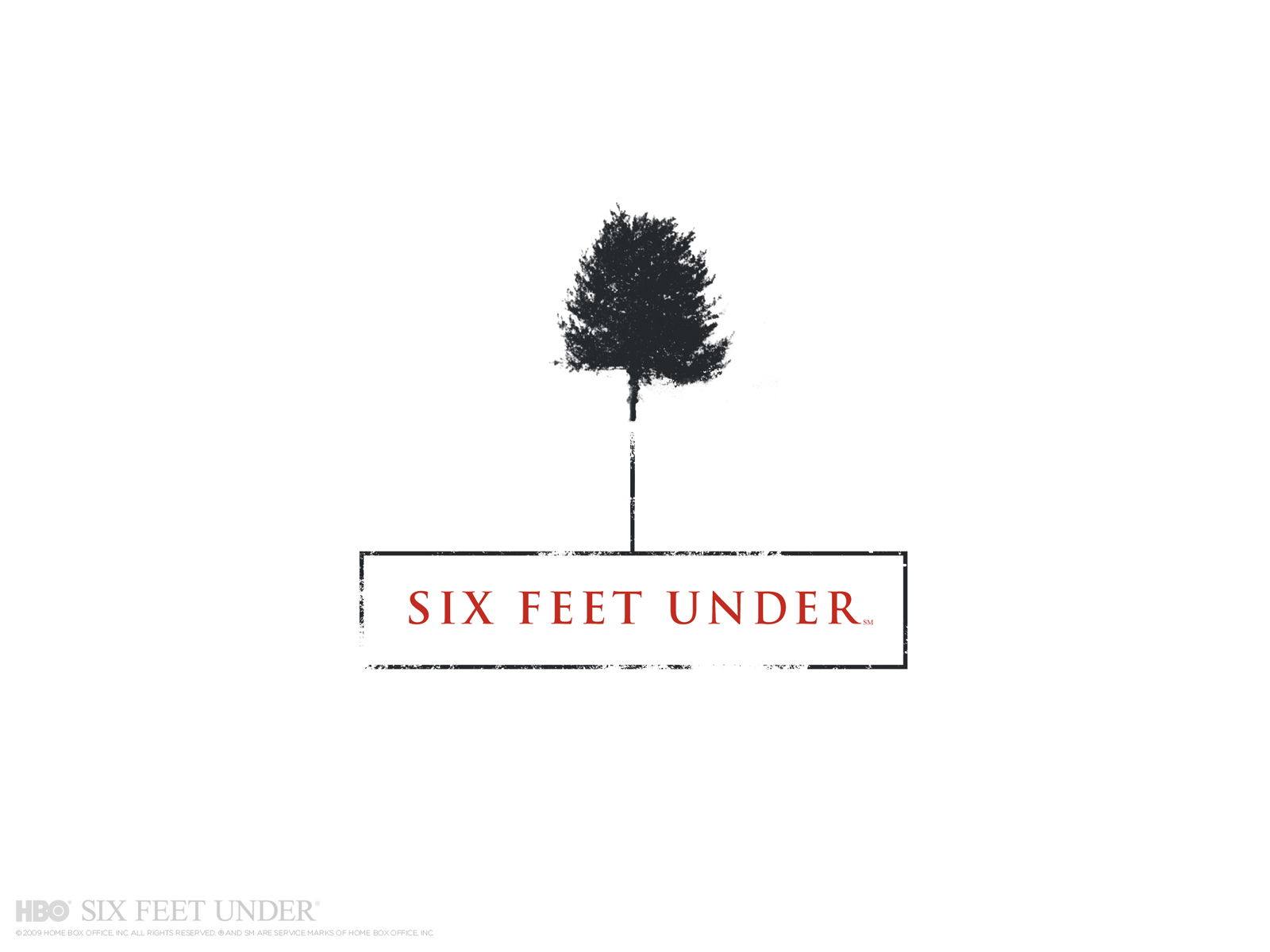 Six Feet Under #9