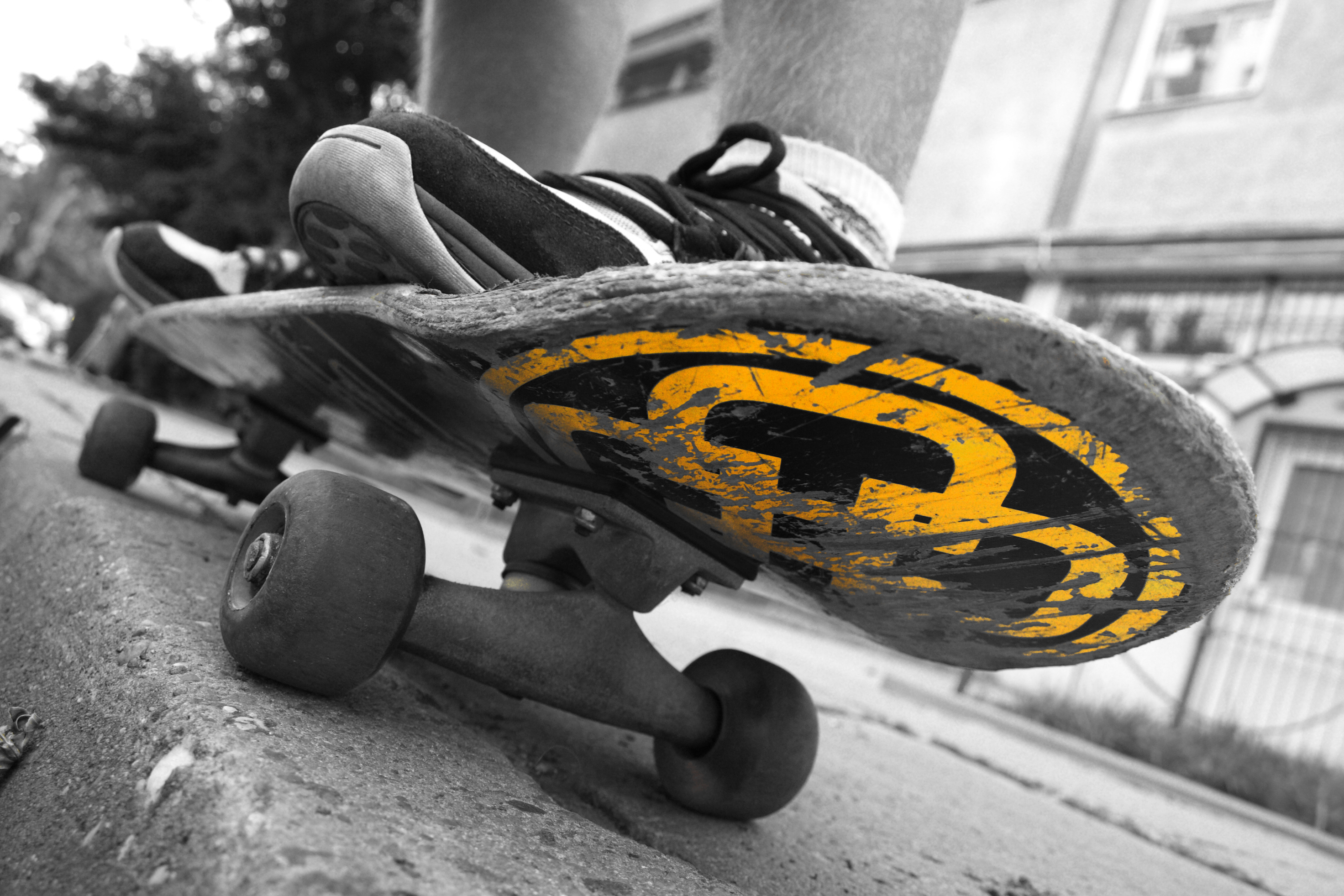 Images of Skate | 2944x1963
