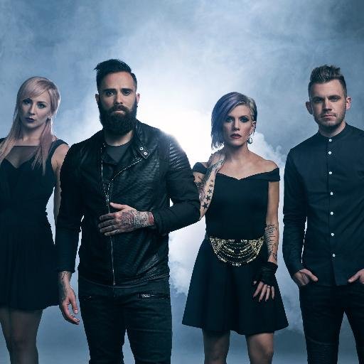 Skillet Pics, Music Collection