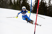 Slalom Skiing #11