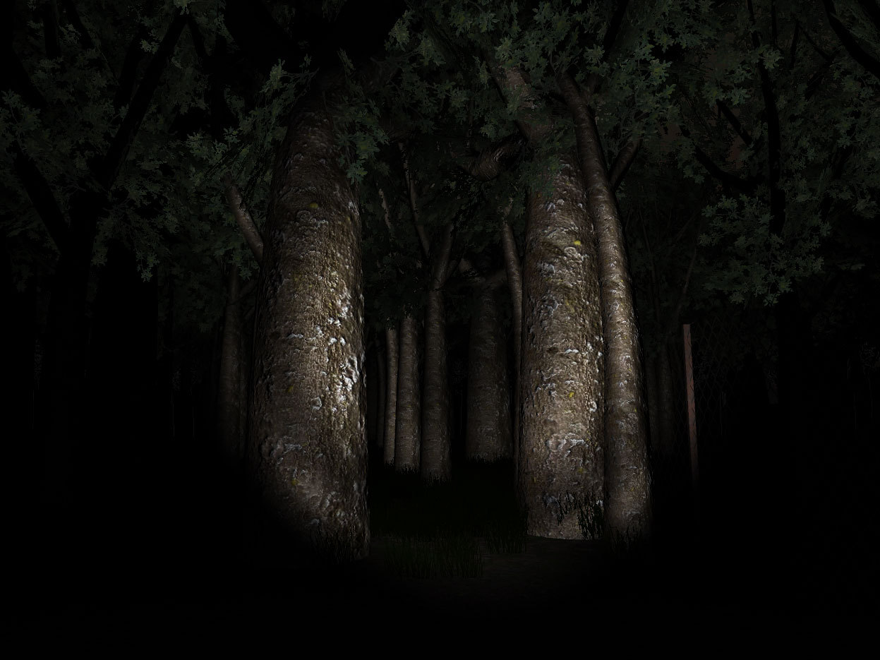 Slender: The Eight Pages Backgrounds, Compatible - PC, Mobile, Gadgets| 1247x935 px