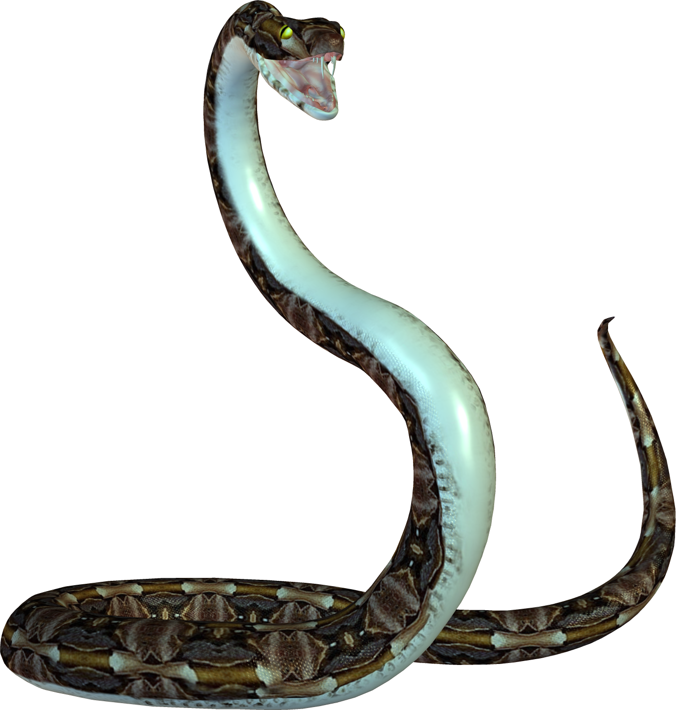 Snake High Quality Background on Wallpapers Vista