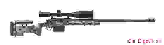 Sniper Rifle #10