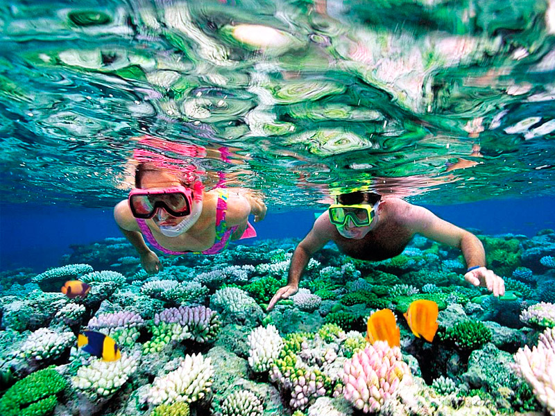 Nice wallpapers Snorkeling 800x600px