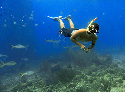 Nice Images Collection: Snorkeling Desktop Wallpapers