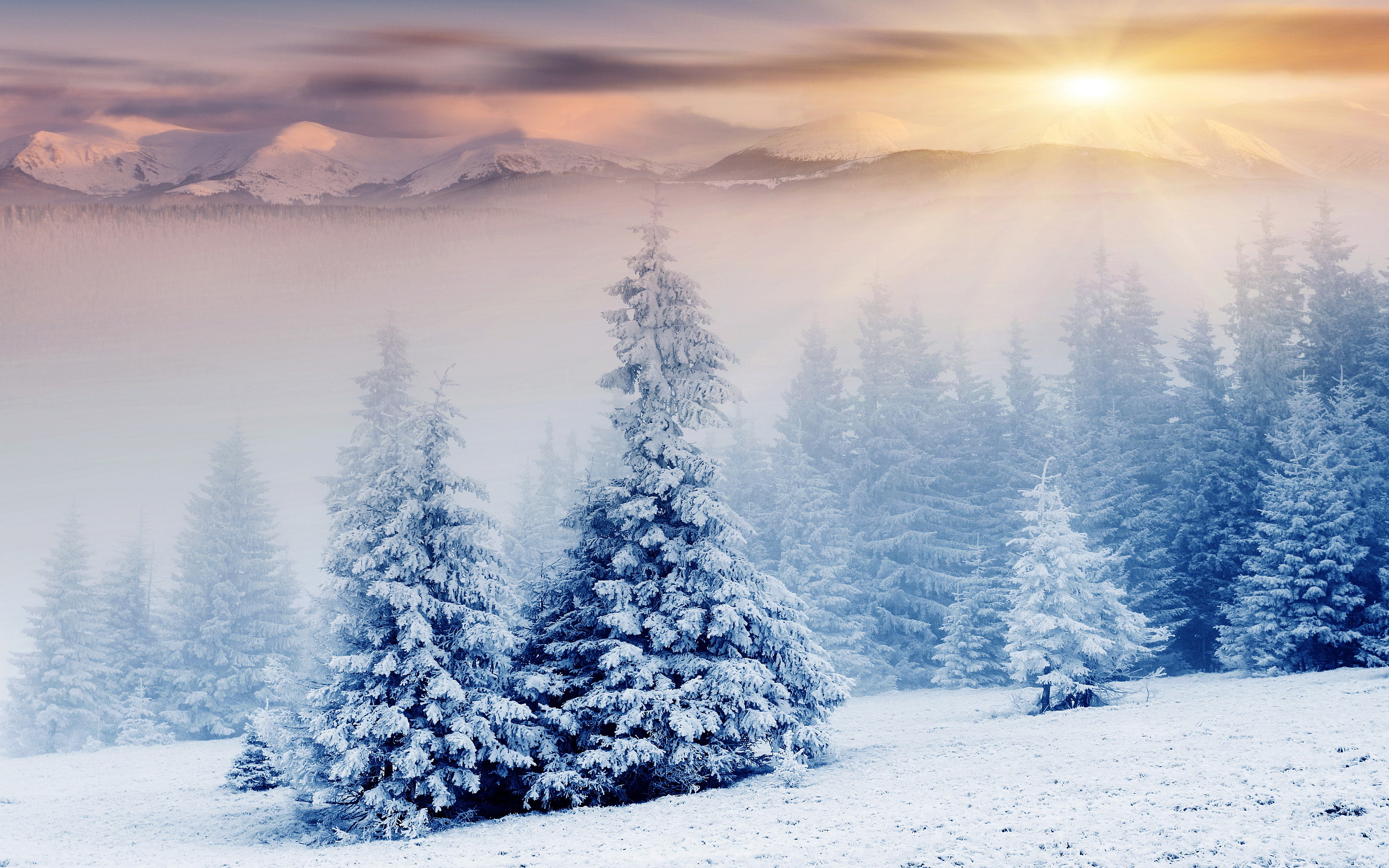 Nice wallpapers Snow 2880x1800px