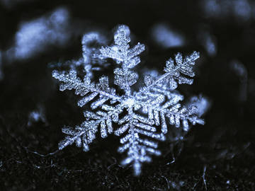 Snowflake Backgrounds on Wallpapers Vista