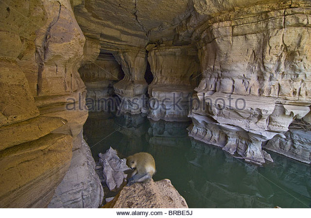 Amazing Sof Omar Caves Pictures & Backgrounds
