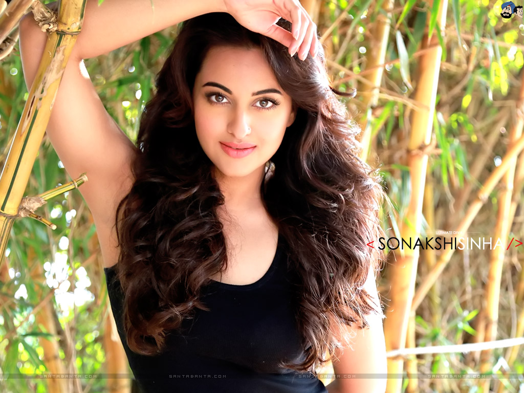 Sonakshi Sinha Pics, Celebrity Collection