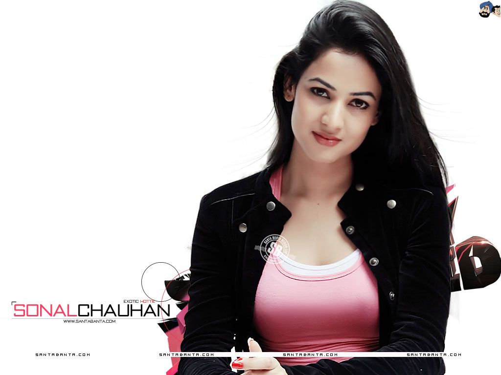 HD Quality Wallpaper | Collection: Celebrity, 1024x768 Sonal Chauhan