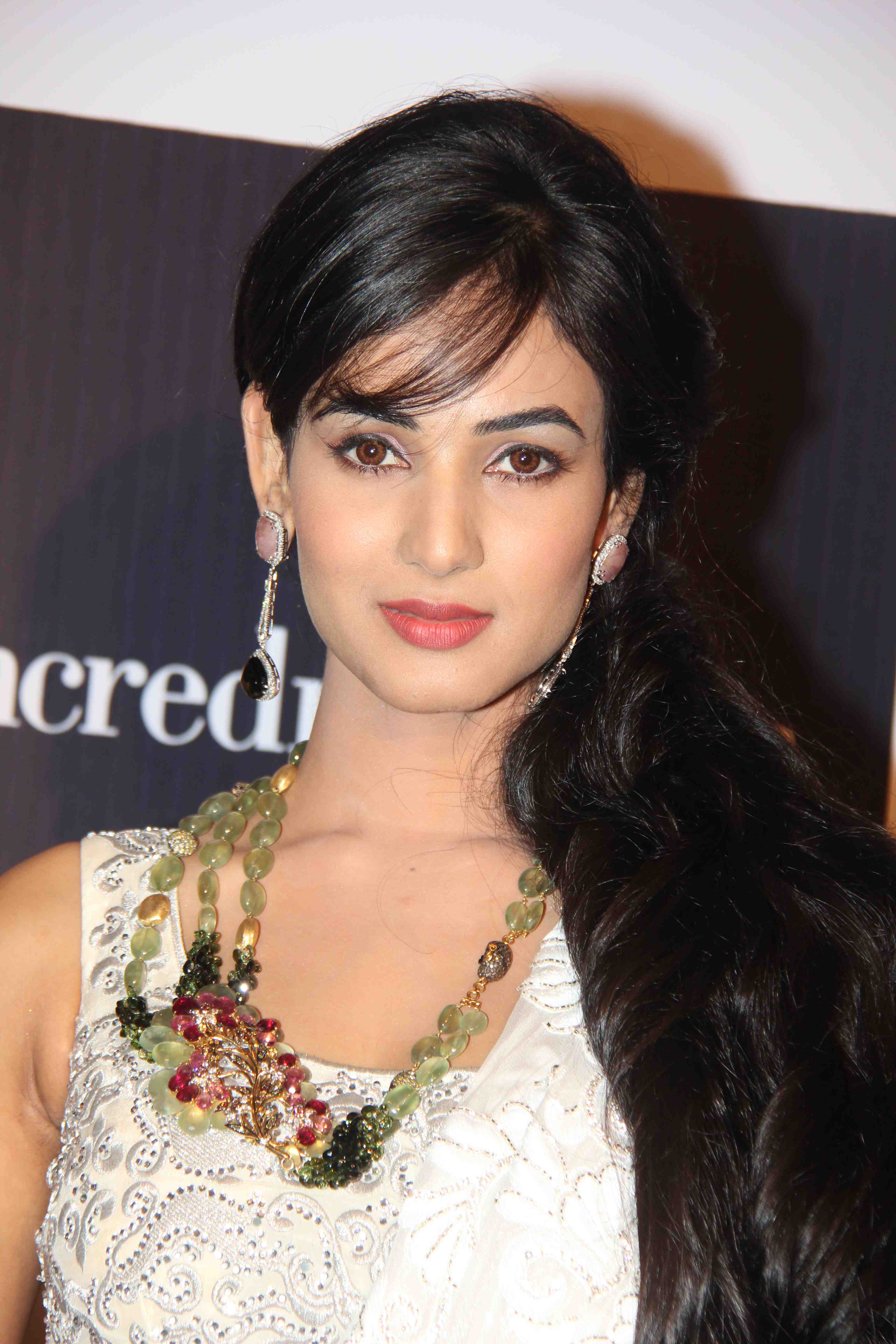 HQ Sonal Chauhan Wallpapers | File 488.96Kb