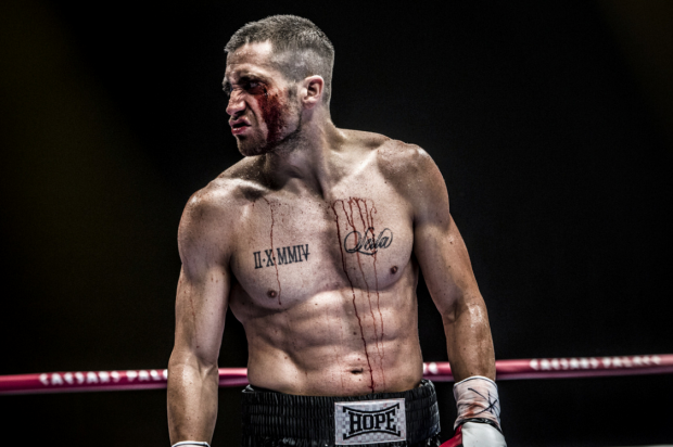 Southpaw Pics, Movie Collection