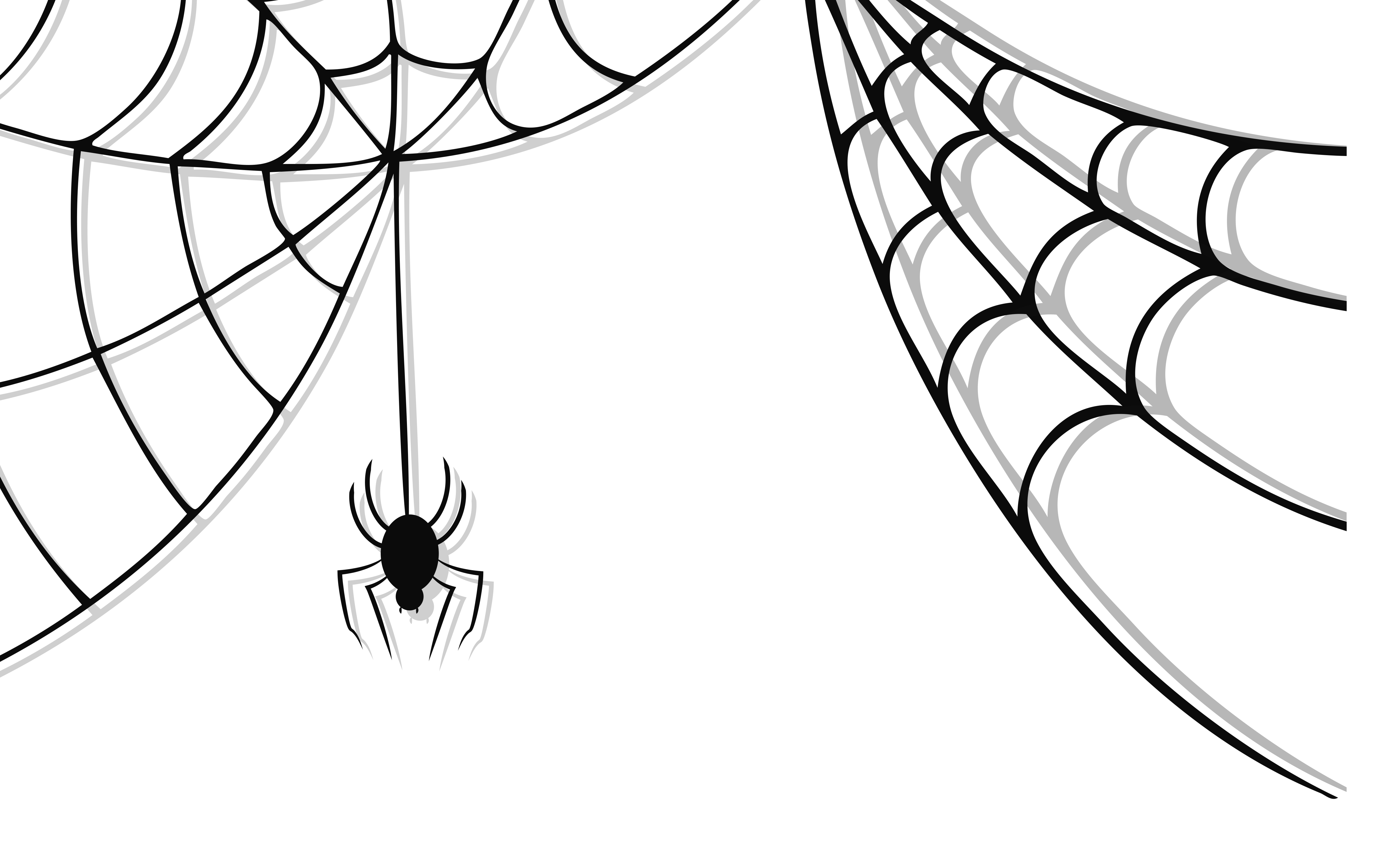 Spider Web #13