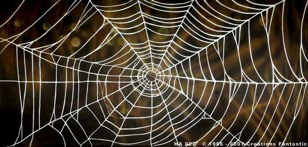 Nice Images Collection: Spider Web Desktop Wallpapers