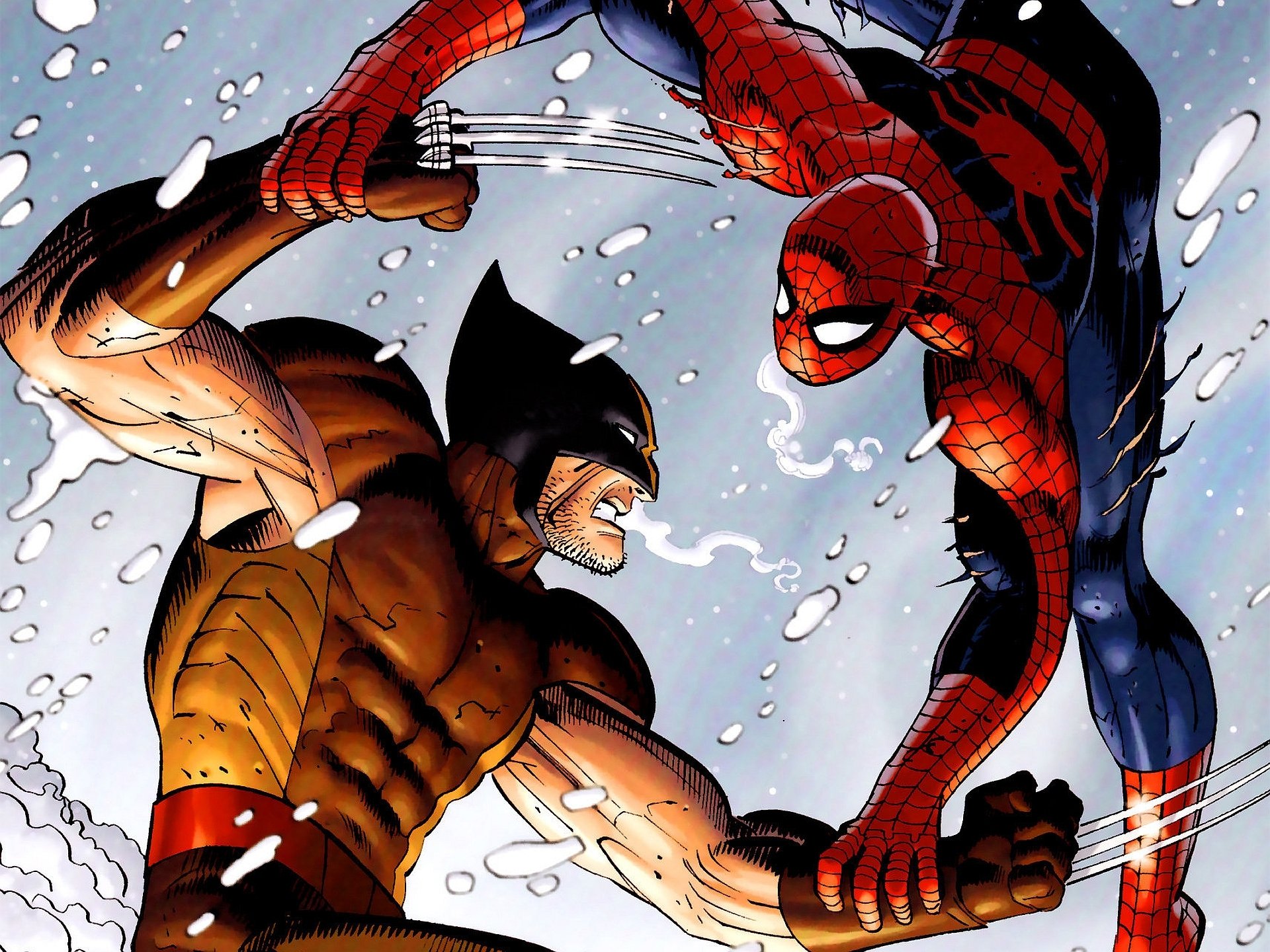 HD Quality Wallpaper | Collection: Comics, 1920x1440 Spider-man Vs. Wolverine