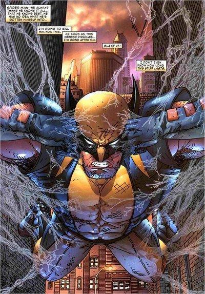 High Resolution Wallpaper | Spider-man Vs. Wolverine 400x573 px