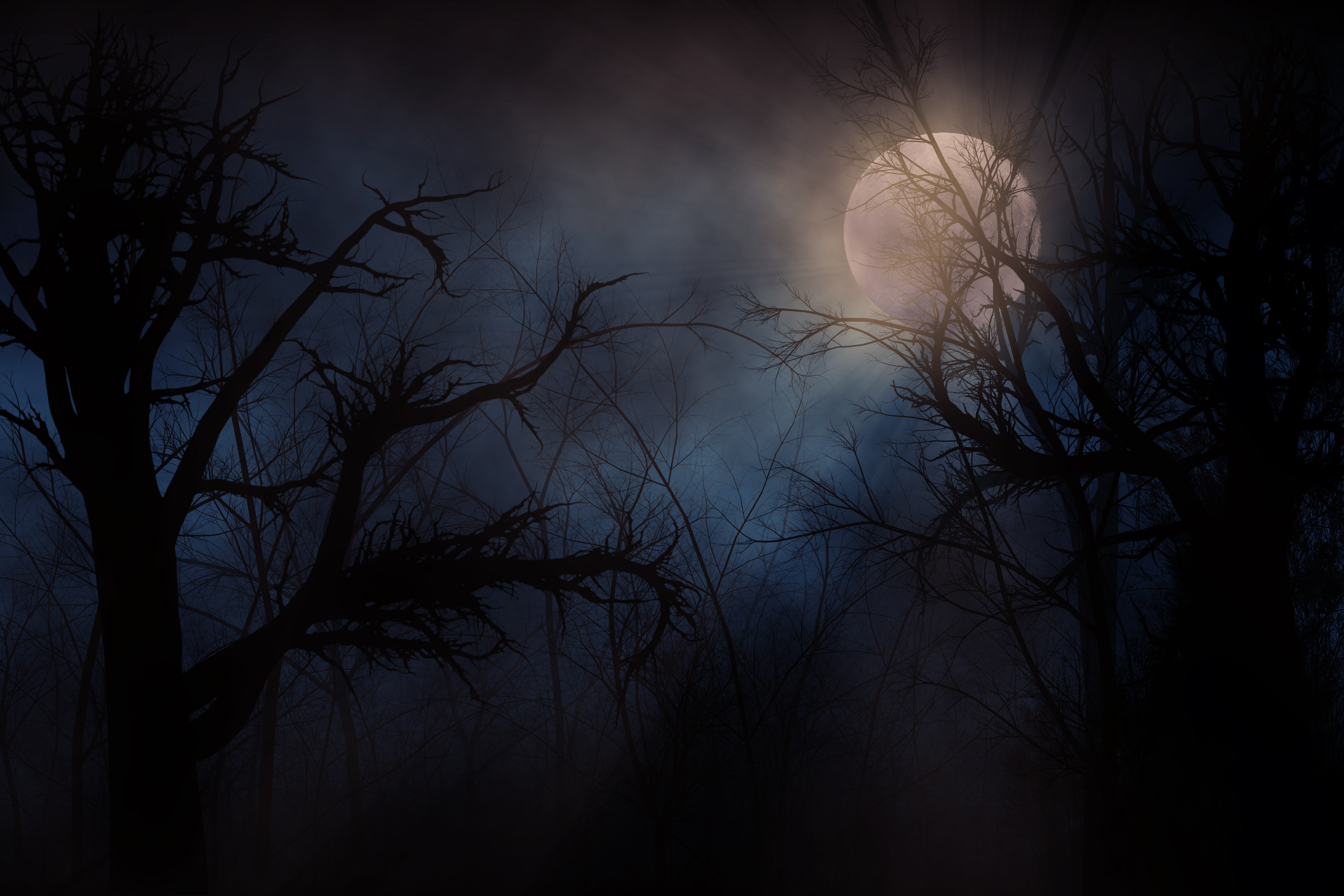 Spooky Backgrounds on Wallpapers Vista