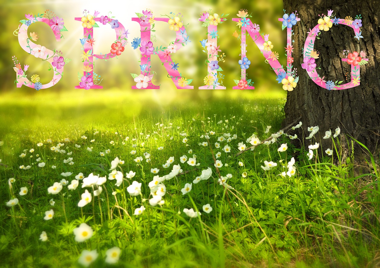 Spring High Quality Background on Wallpapers Vista