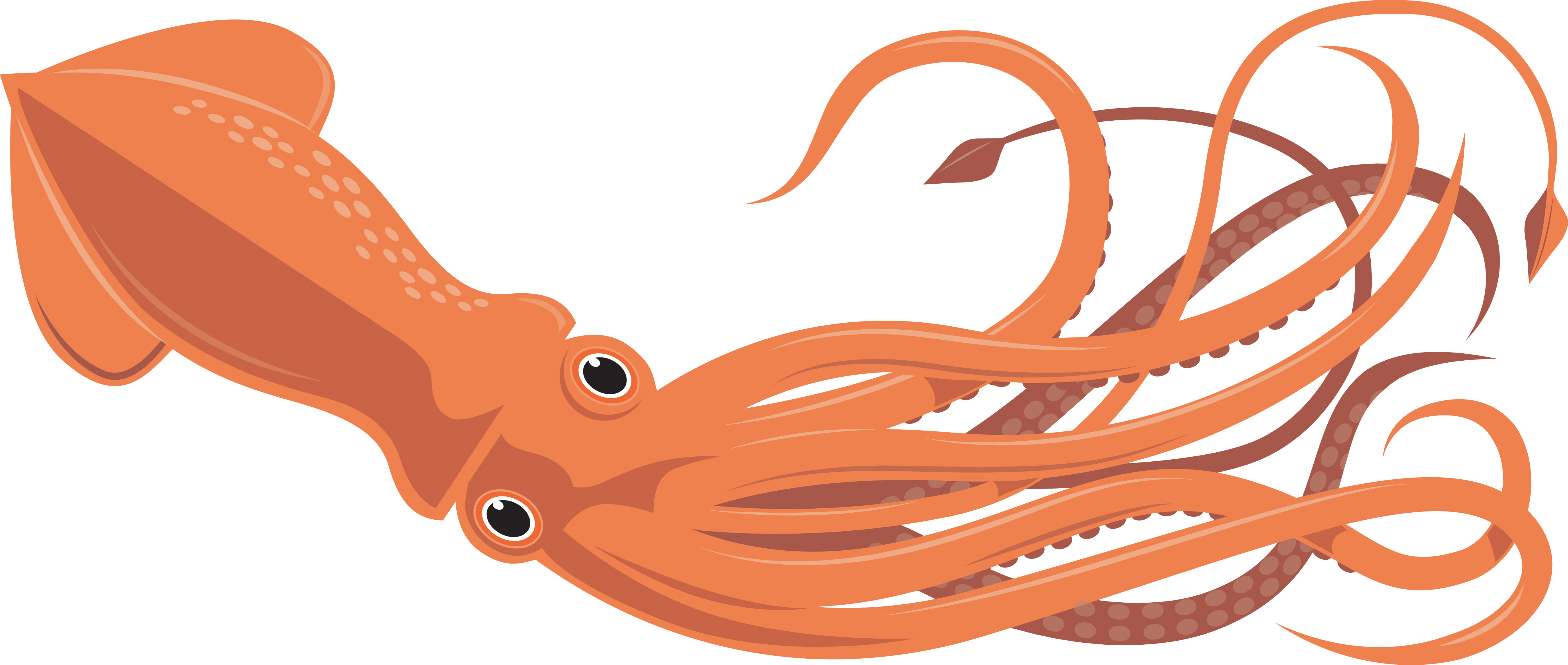 Squid #9