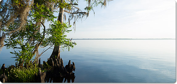Nice Images Collection: St. Johns River Desktop Wallpapers