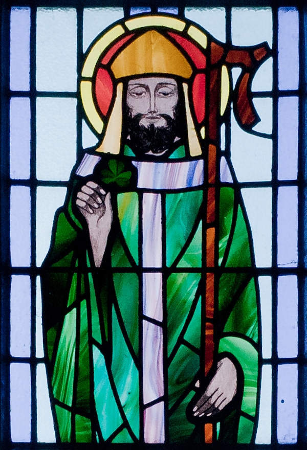 St. Patrick's Day #17