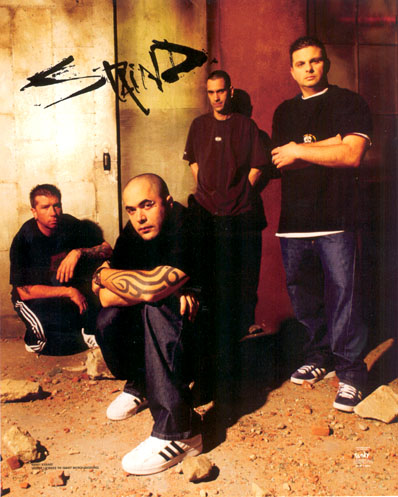 Staind Backgrounds, Compatible - PC, Mobile, Gadgets| 398x497 px