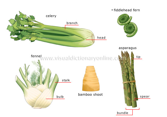 Images of Stalk | 550x384