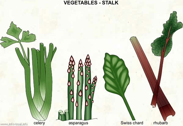 Images of Stalk | 599x413