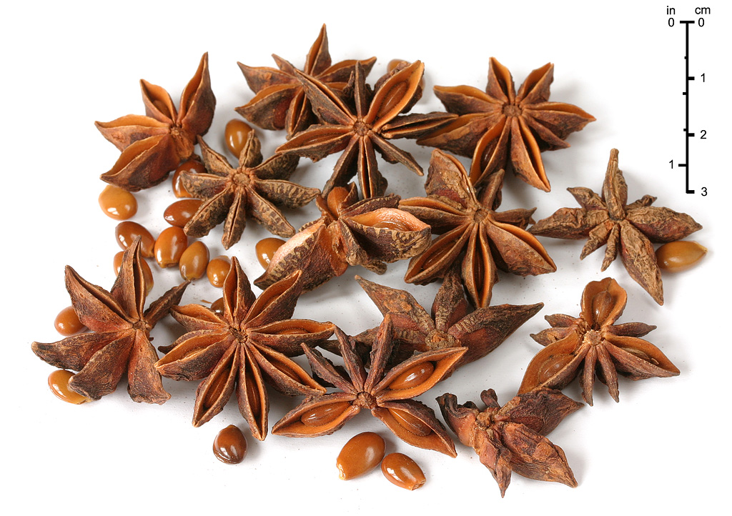 Nice Images Collection: Star Anise Desktop Wallpapers