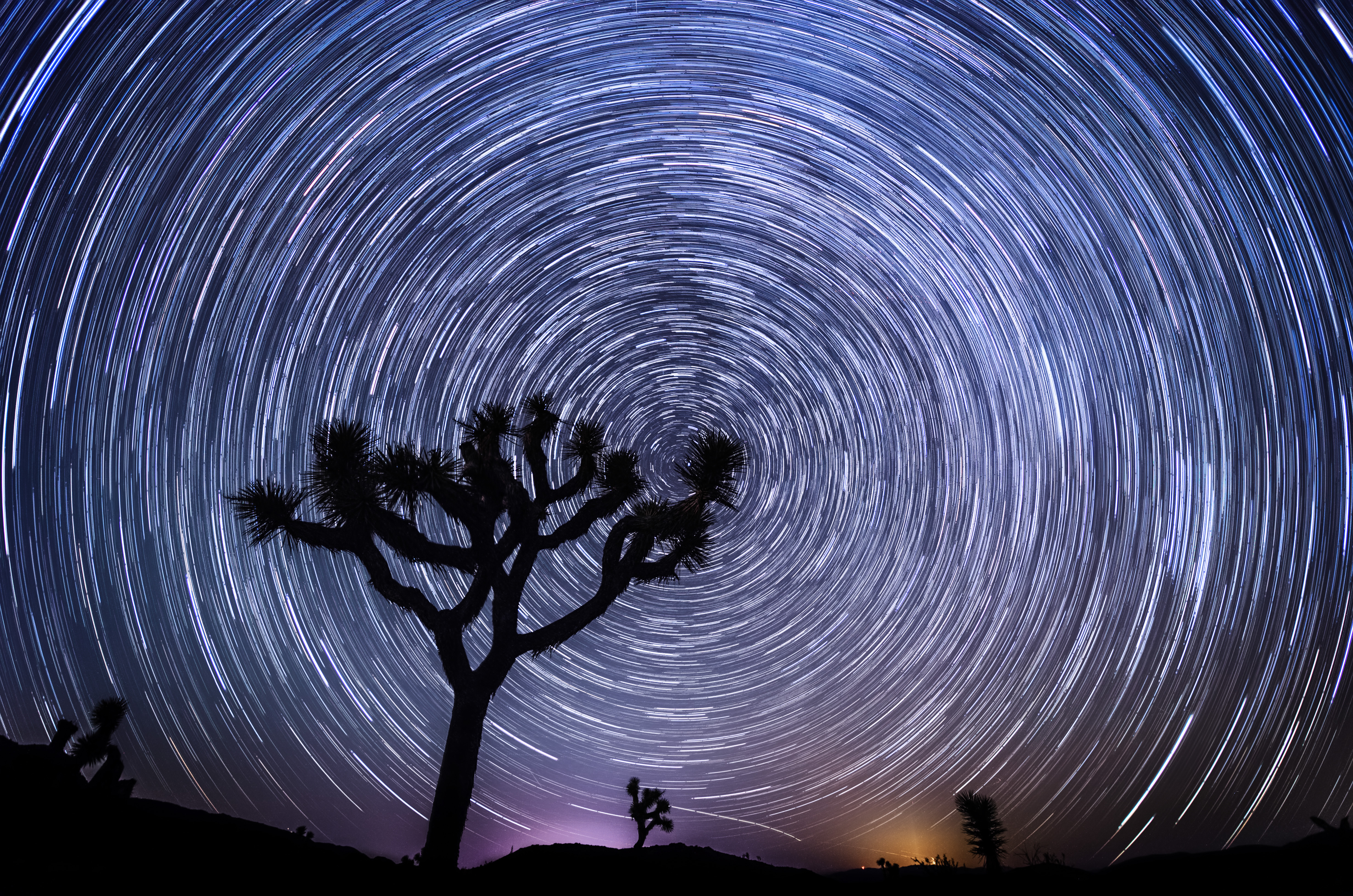 Nice Images Collection: Star Trail Desktop Wallpapers