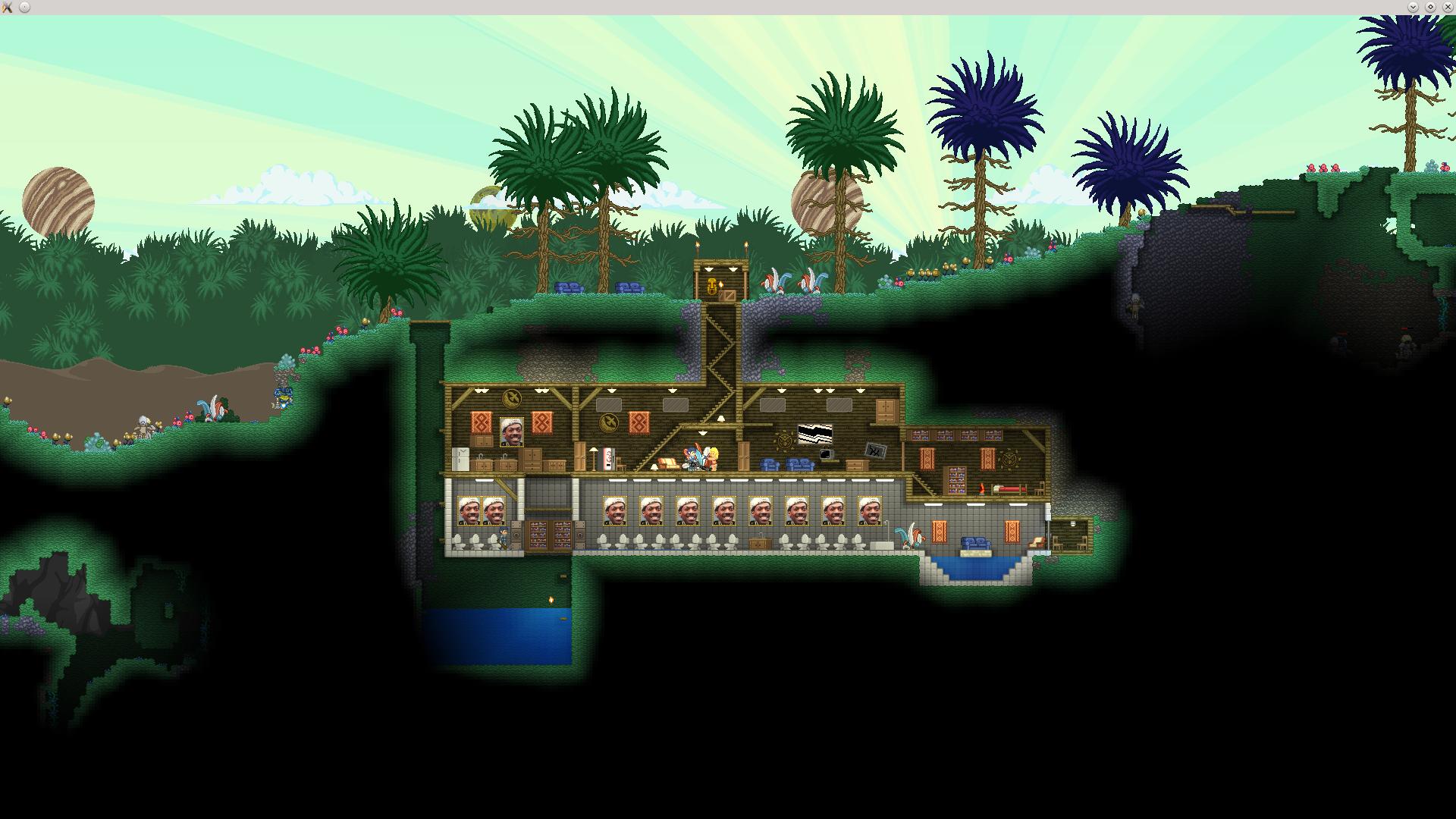Starbound Pics, Video Game Collection