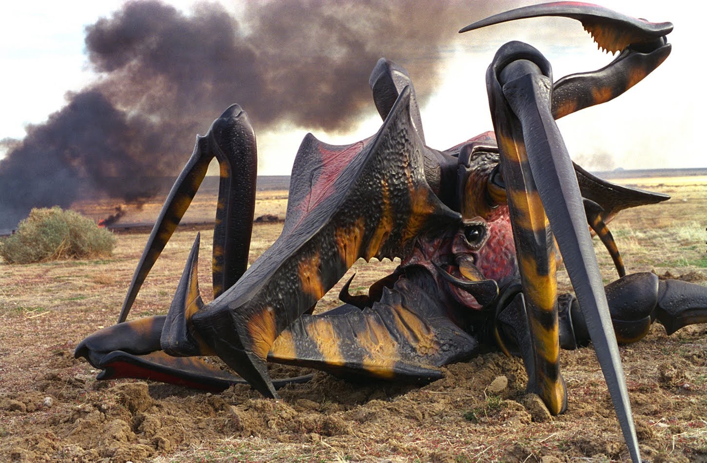 Starship Troopers Pics, Movie Collection