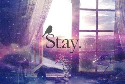 Stay #16